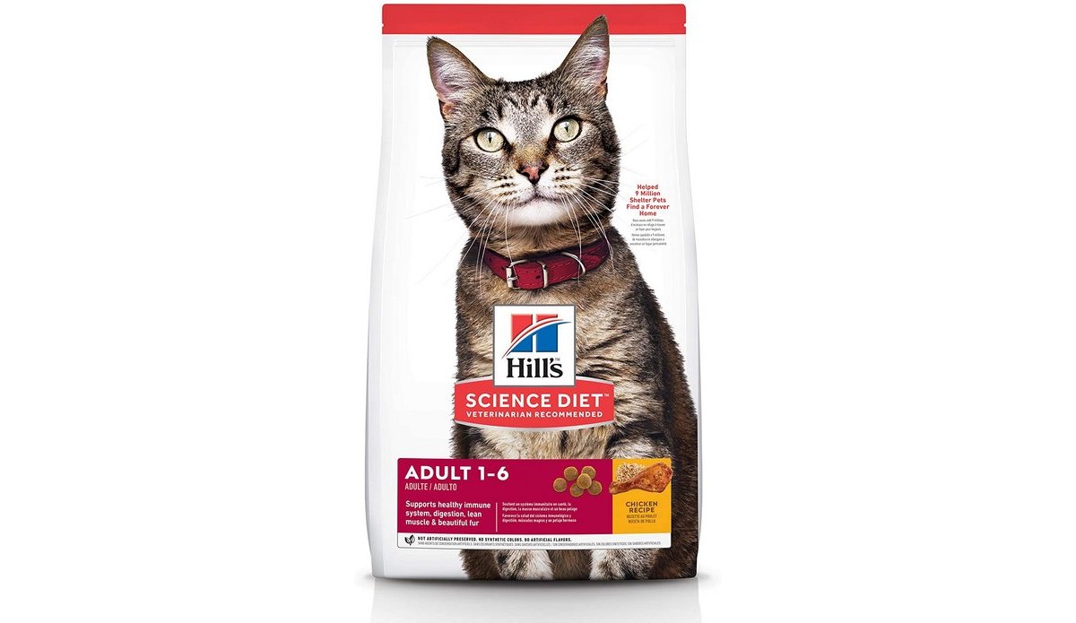 Mommy cat food test second winner